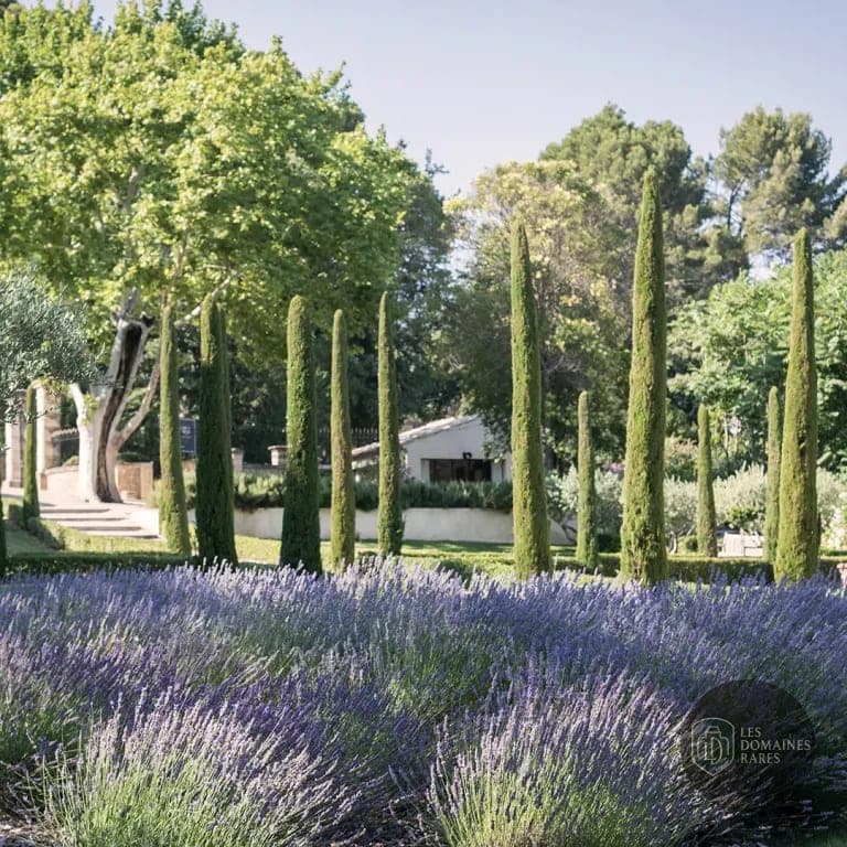 Domaine de Fontenille