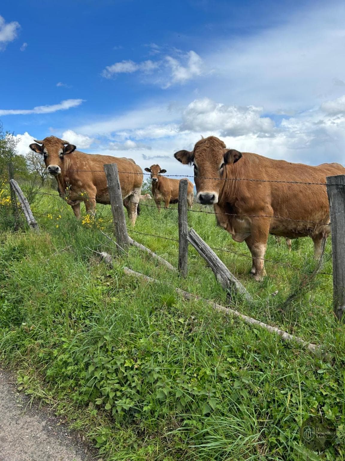 Domaine de la Grise Pierre