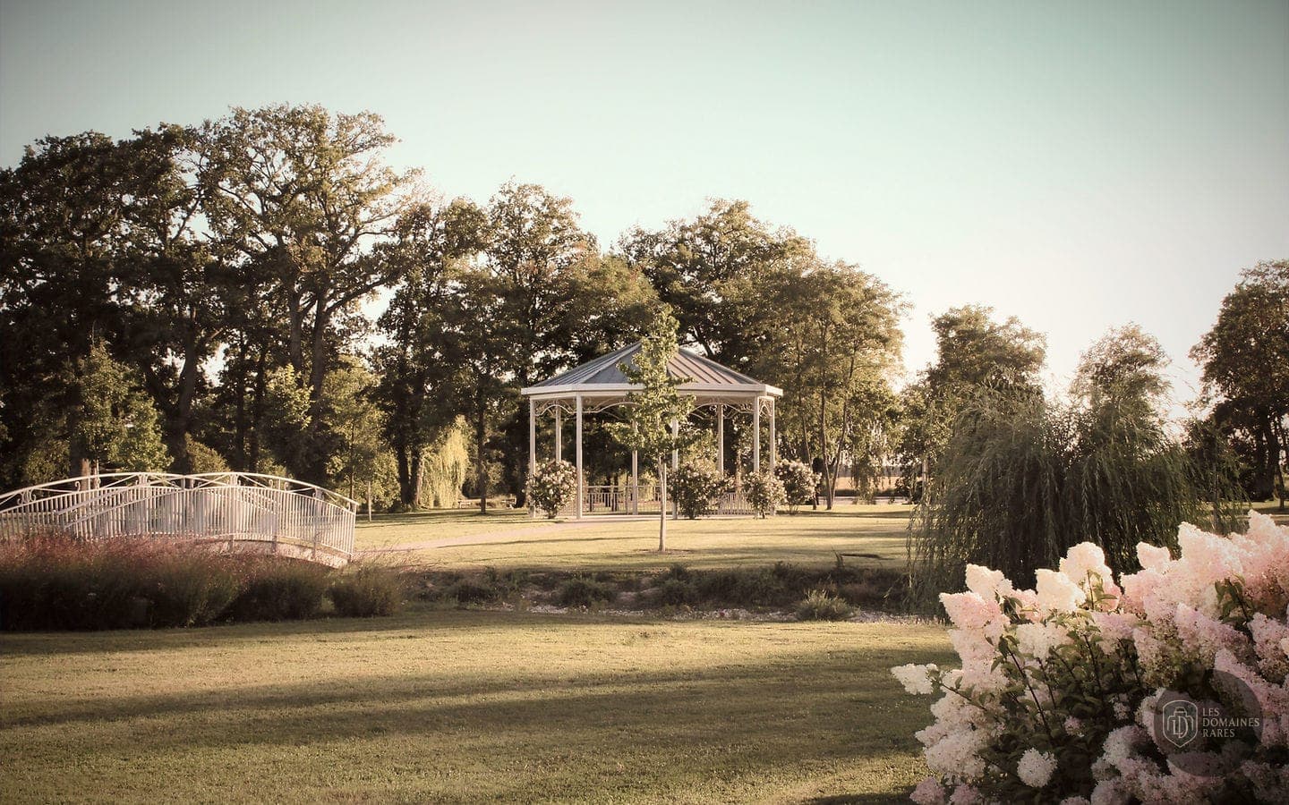 Domaine des Cygnes