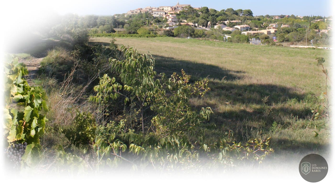 Domaine du Mas Dieu