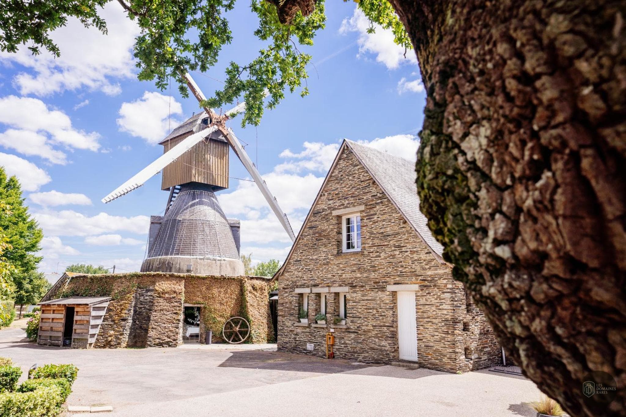 Domaine du Moulin Cavier