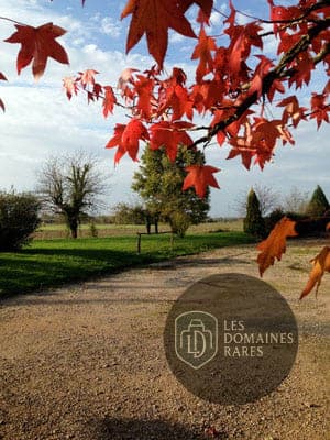Domaine du Petit Chambard