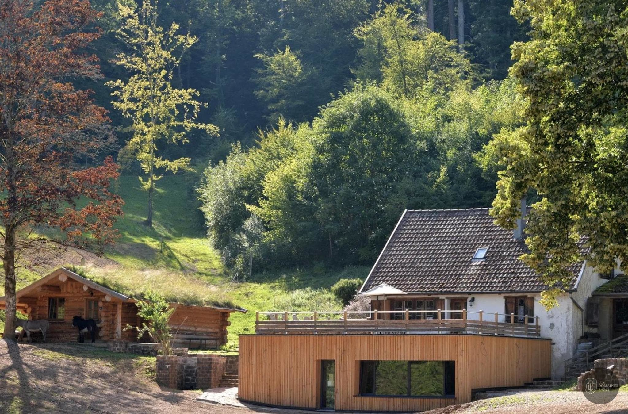 Domaine du petit Moiré