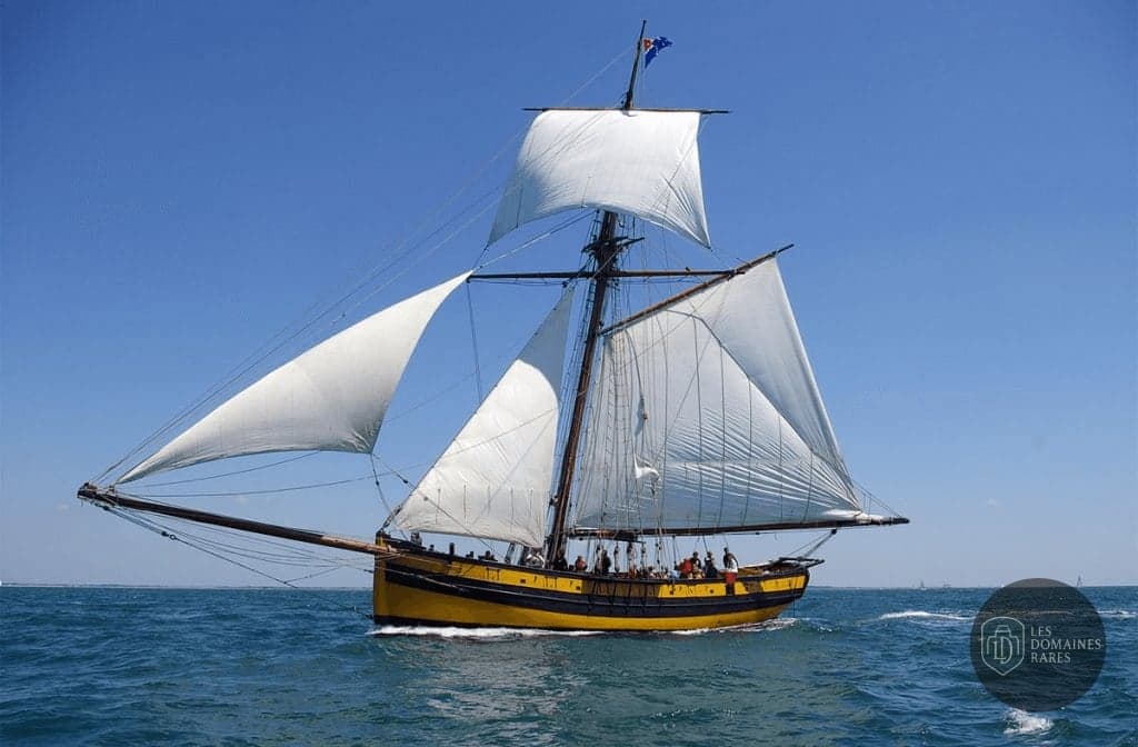 Etoile Marine