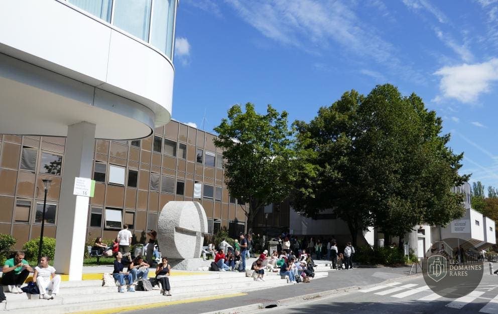 Faculté de Médecine