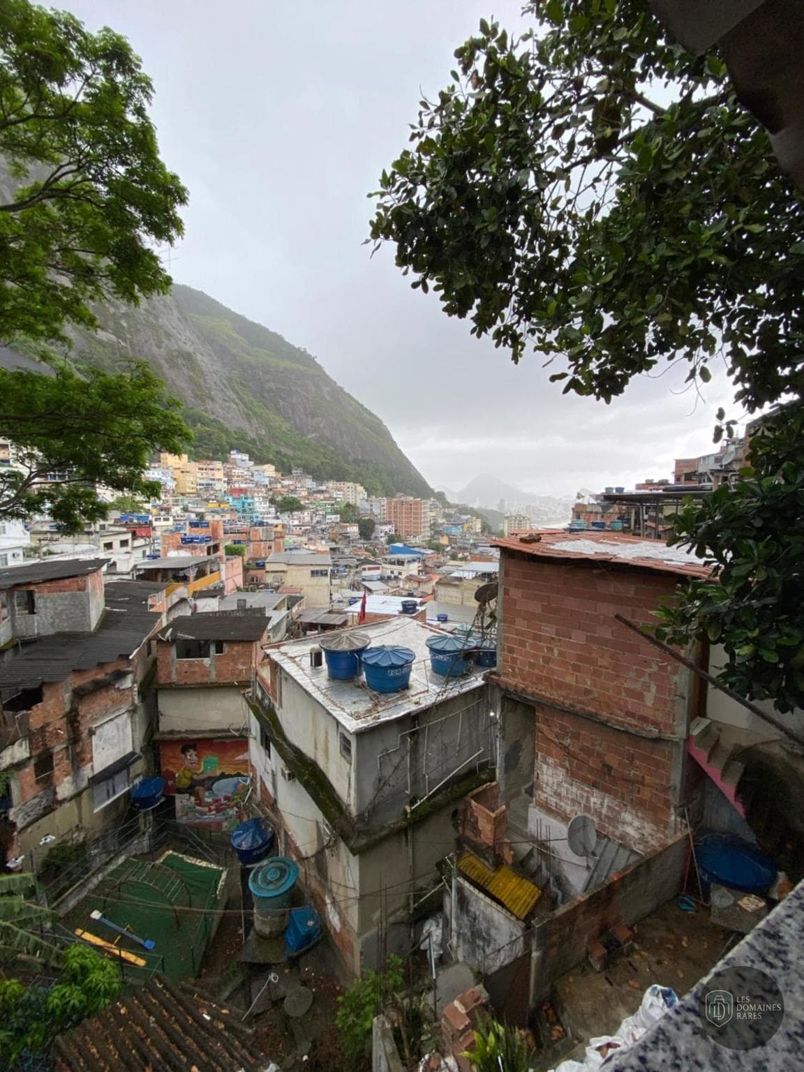 Favela Chic