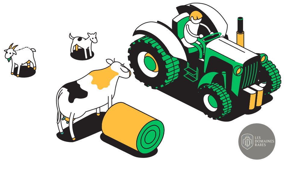 Ferme De L'Epinette