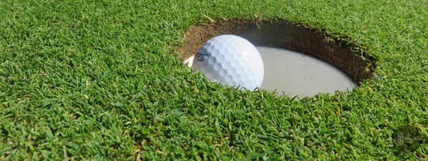 Golf Bluegreen Niort Romagné