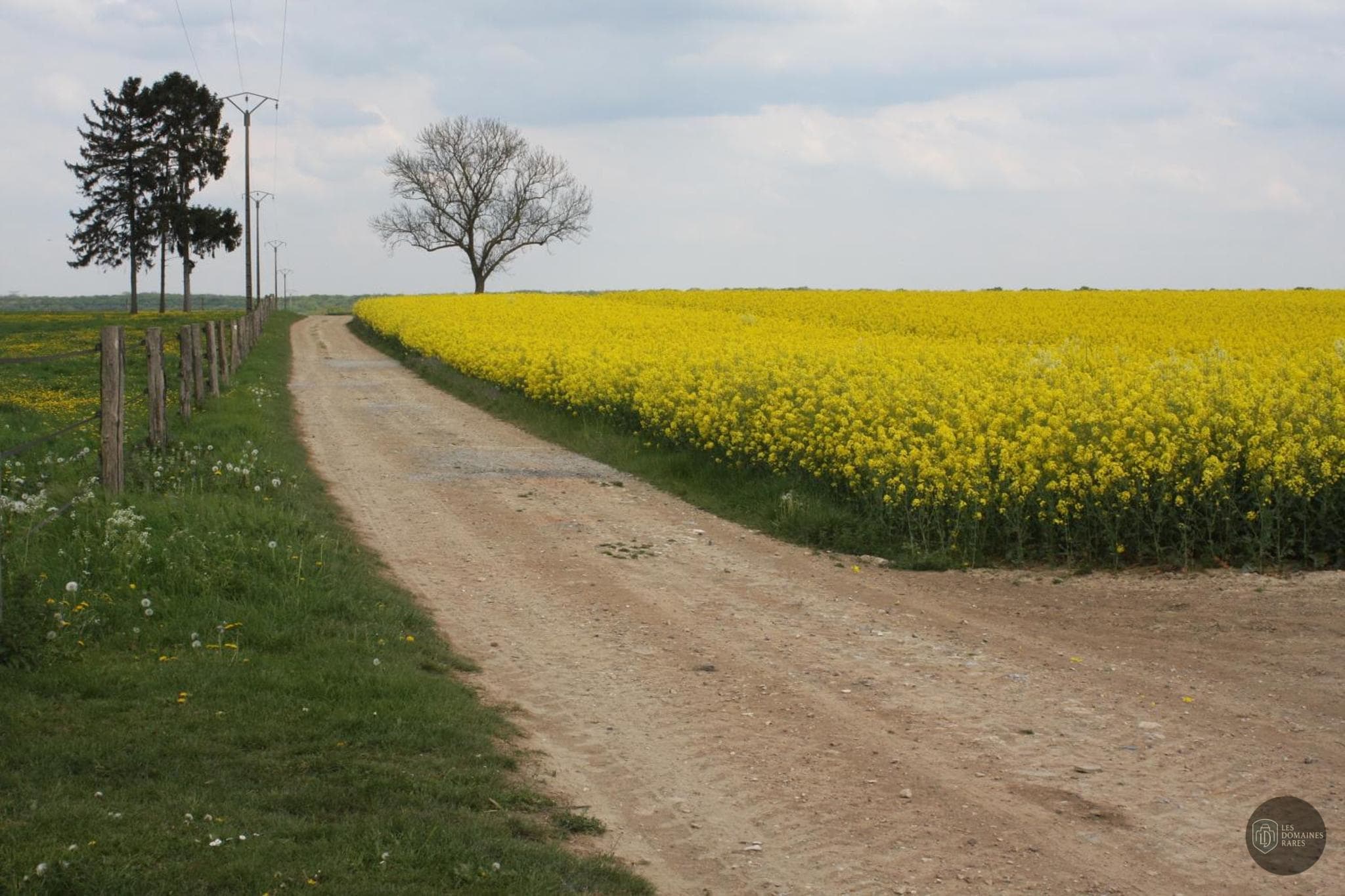 Grange de Boulaines