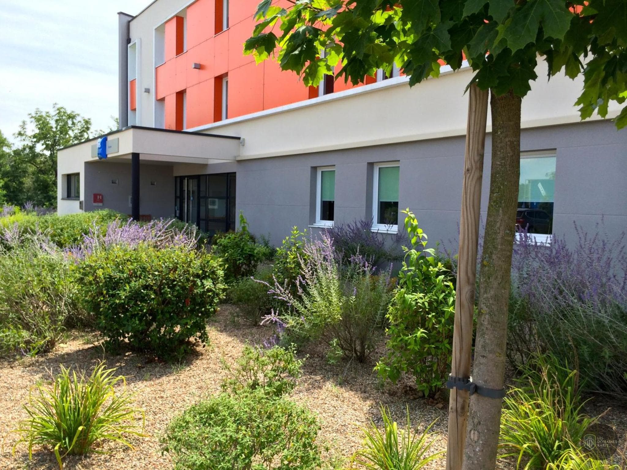 Ibis Roanne