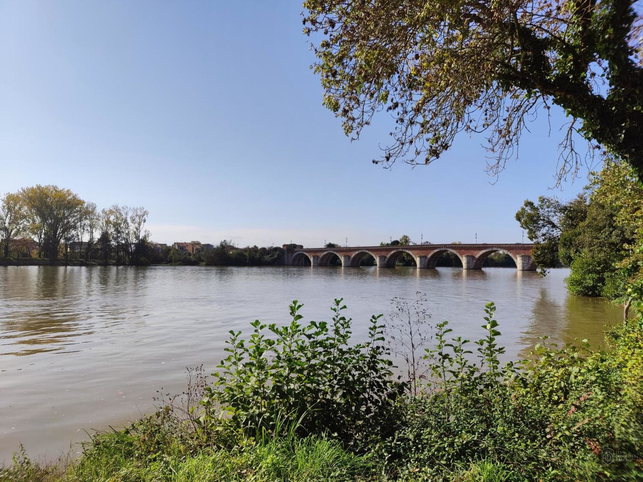 L'Ile aux Truites