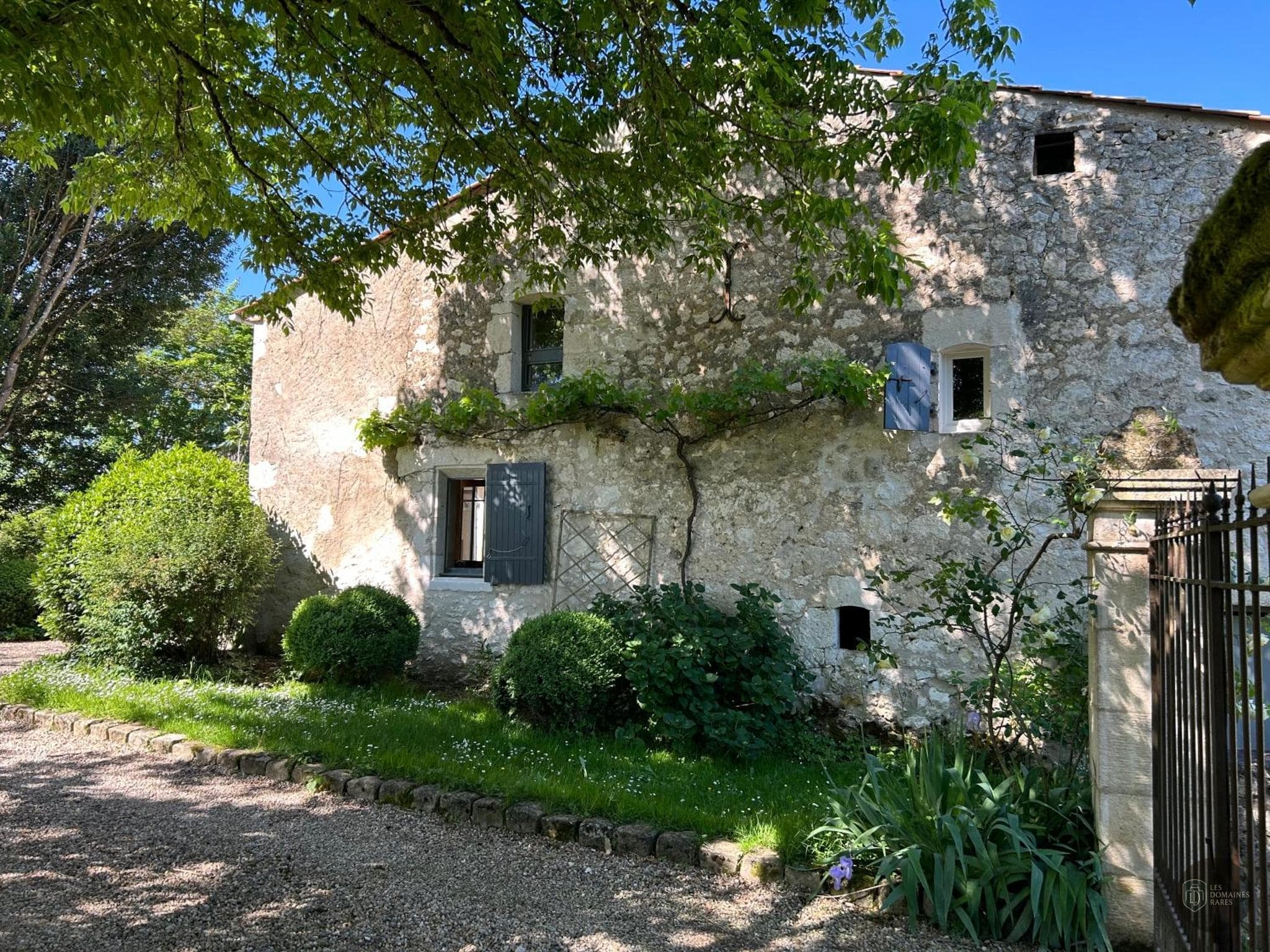 L'Orée des Vignes