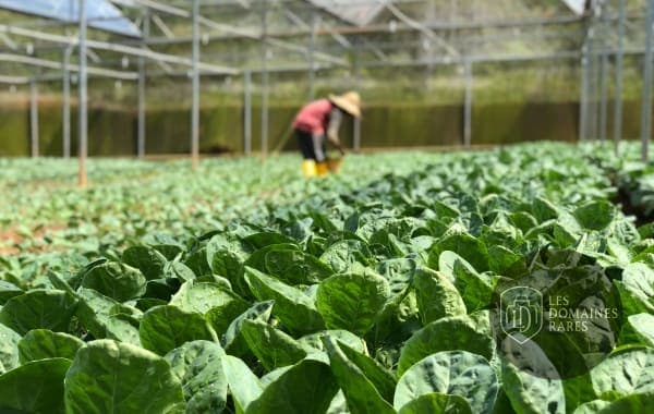 La Ferme des Possibles