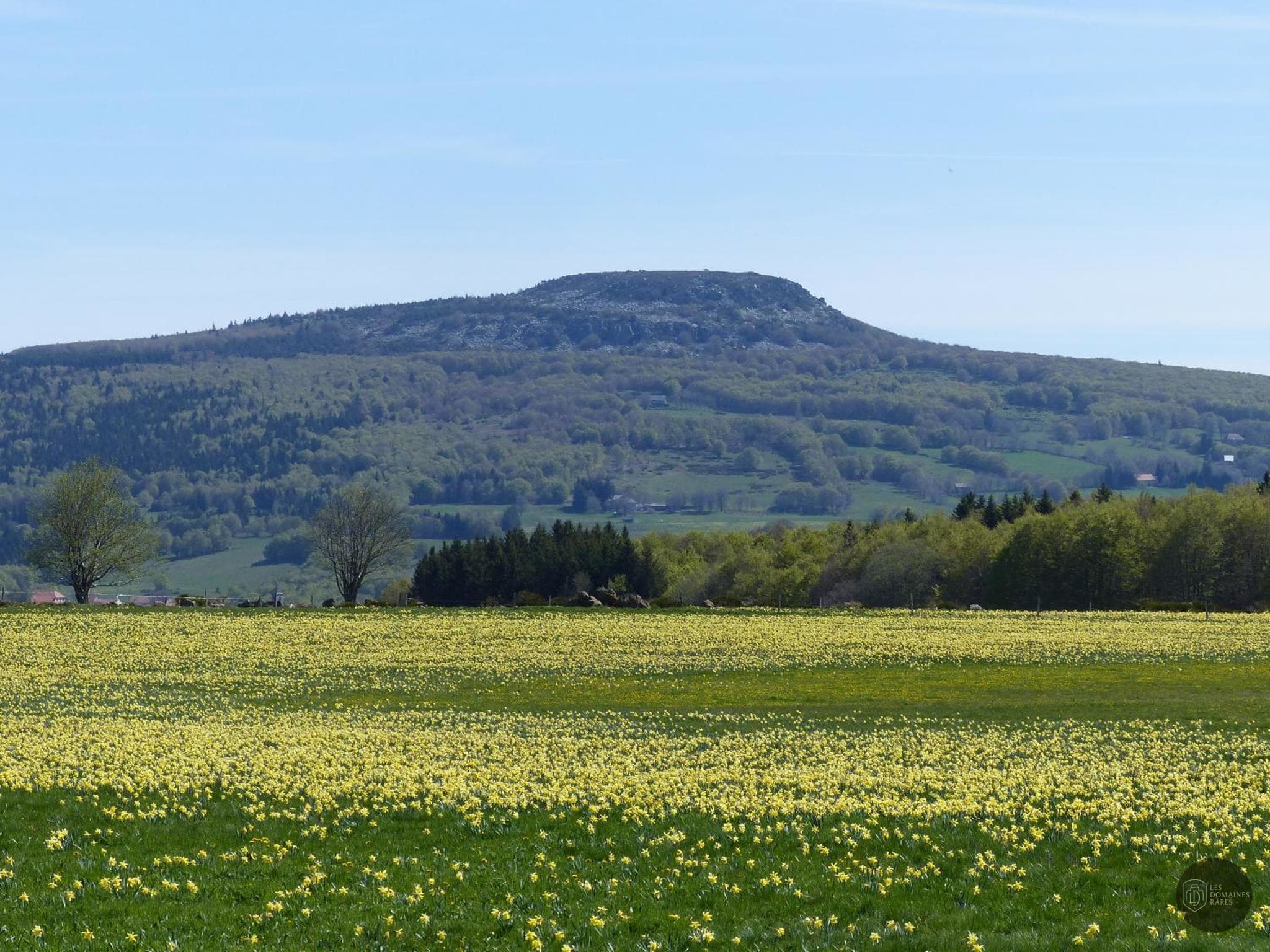 Le Domaine des Cormellas