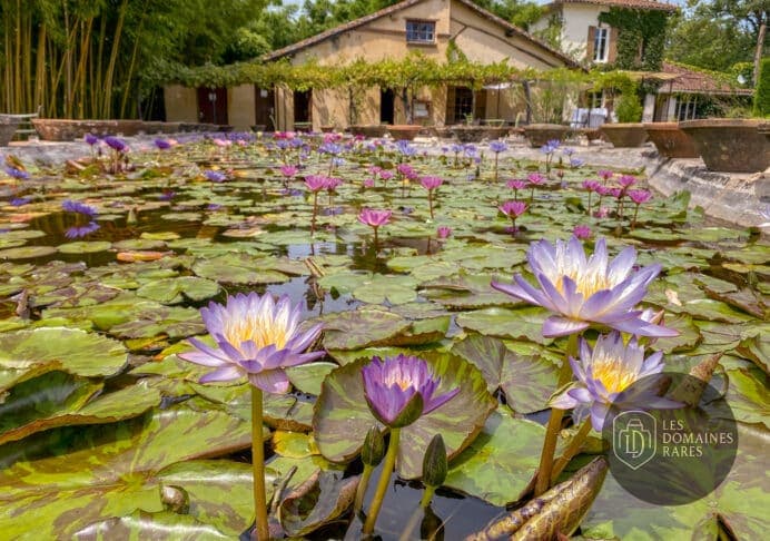Le Jardin