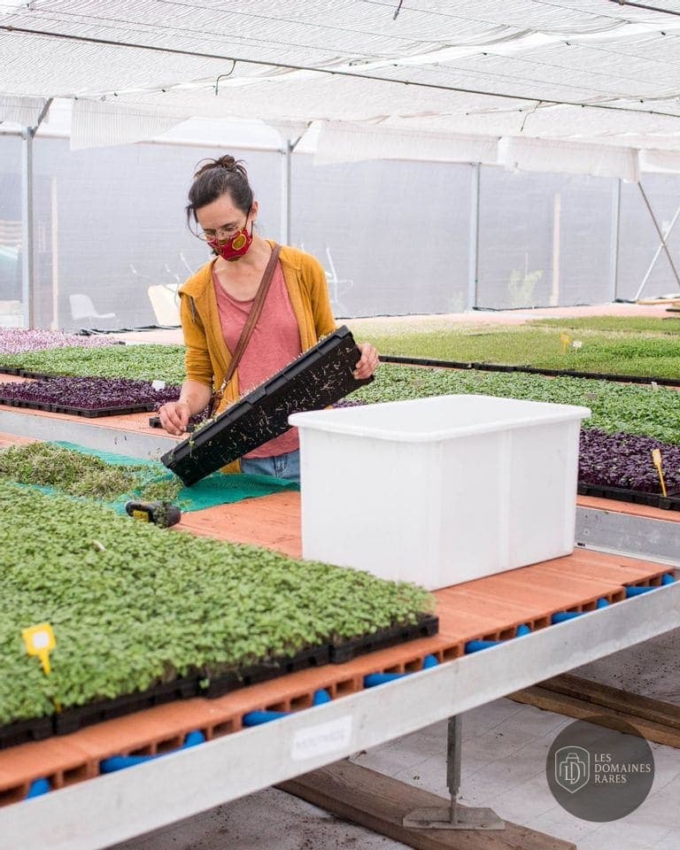 Le Pavillon de l'Écologie Urbaine