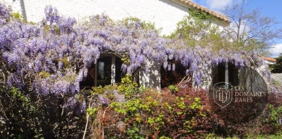 Les Coquilloux