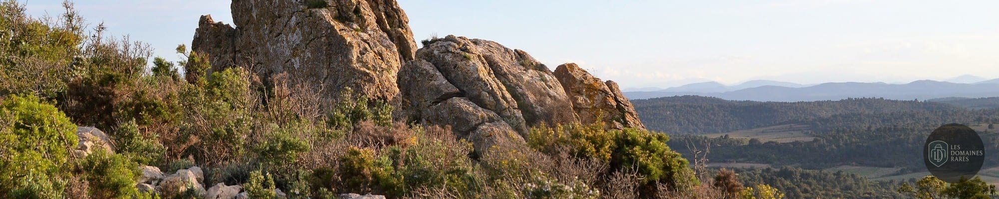 Les Domaines qui Montent