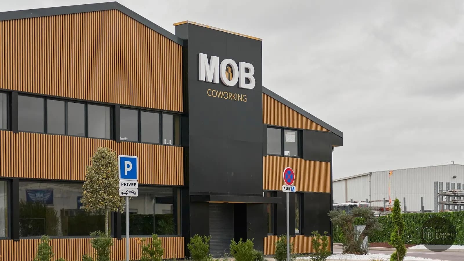 MOB Coworking