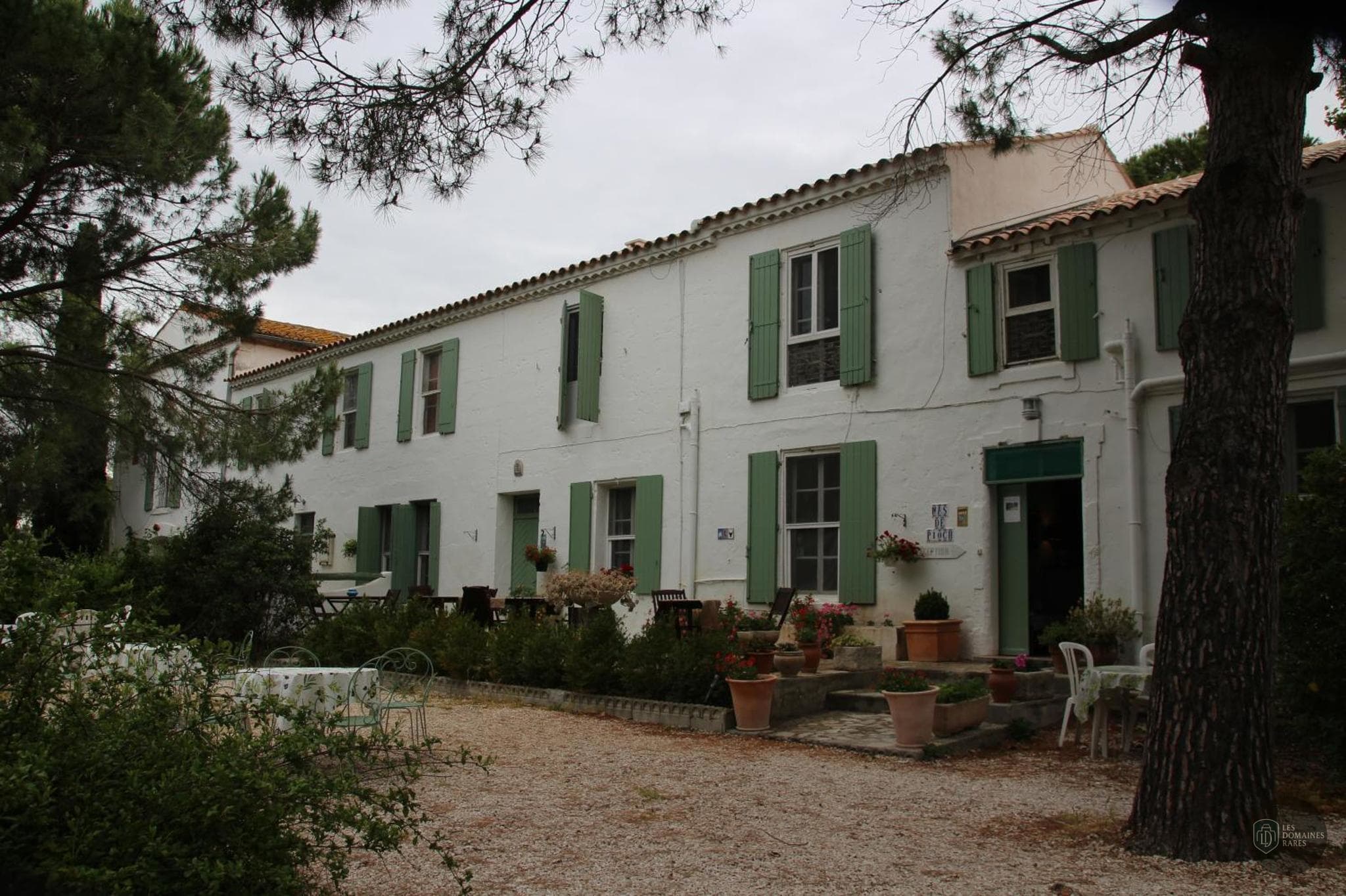 Manade Cavallini