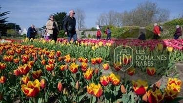 Manoir de Kerlut