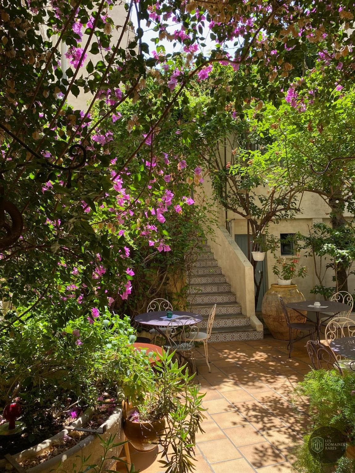 Musée Regards de Provence