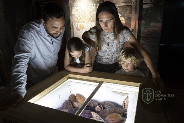 Musée du Chocolat