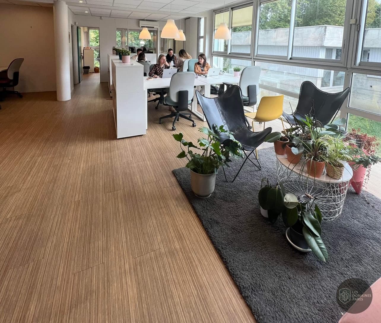 Oobee Cowork