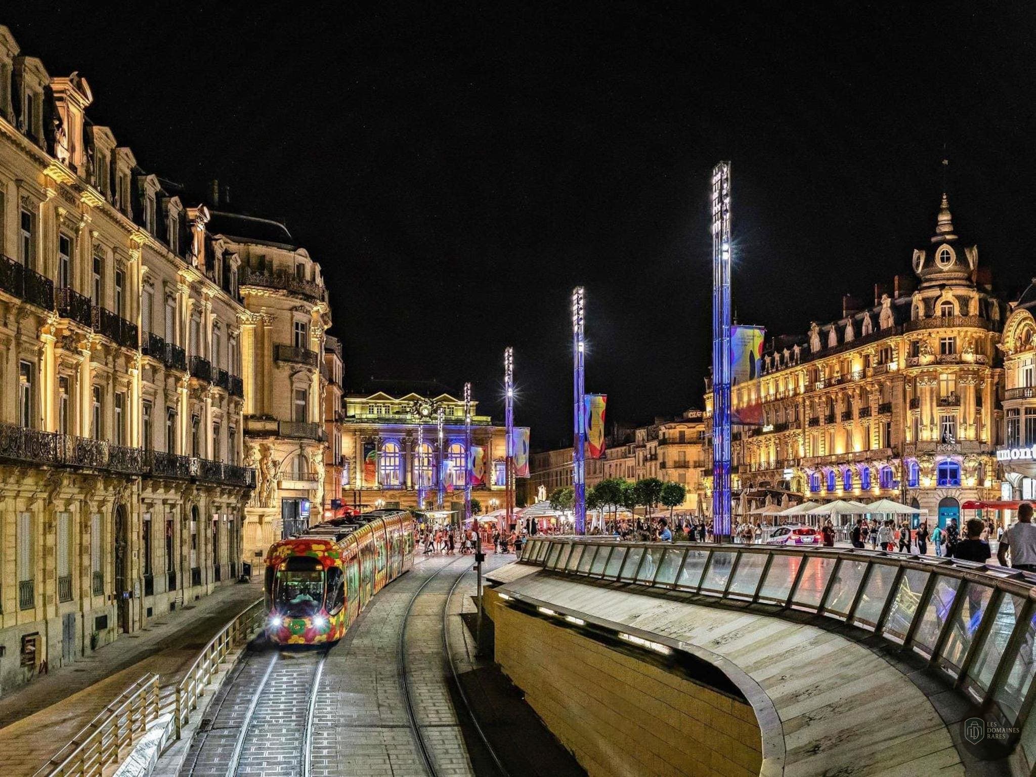 Palais des sports René-Bougnol - Montpellier Handball