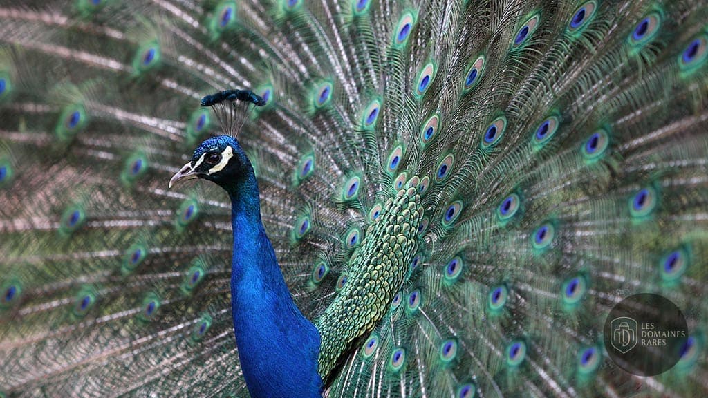 Parc Zoologique et Botanique de Mulhouse