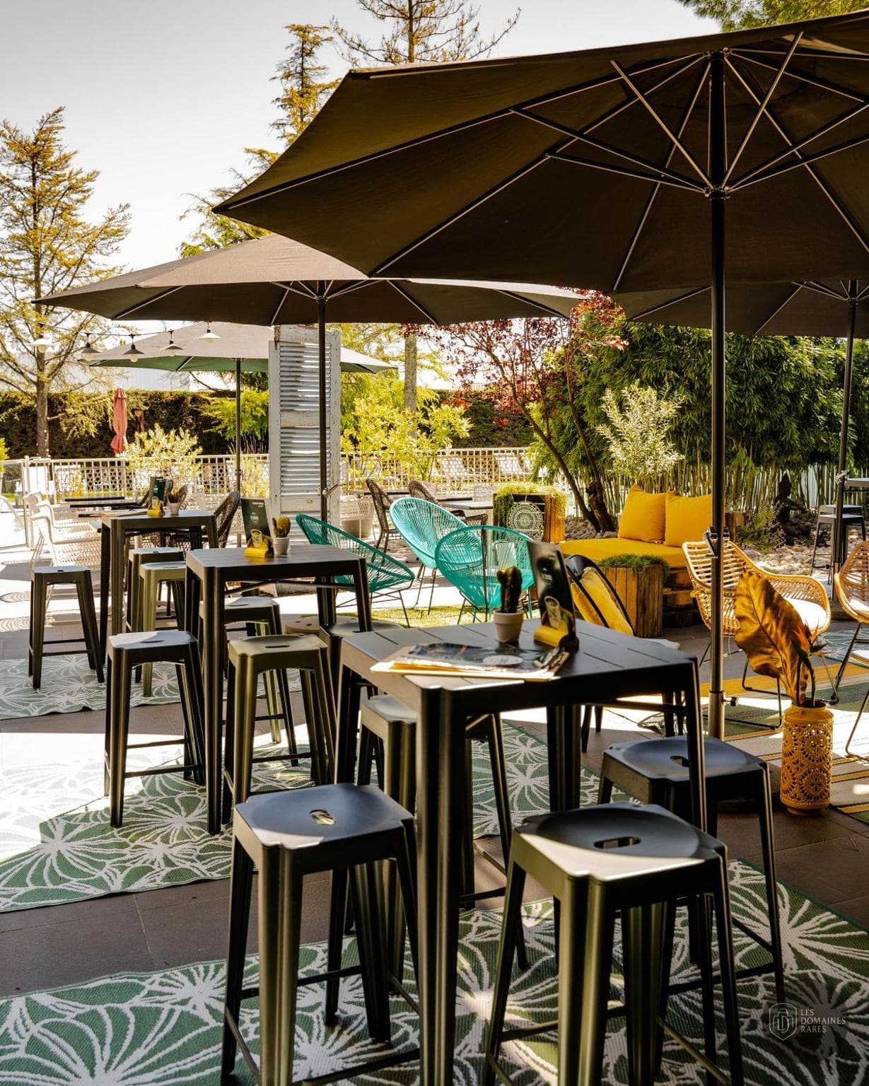Safari Hôtel