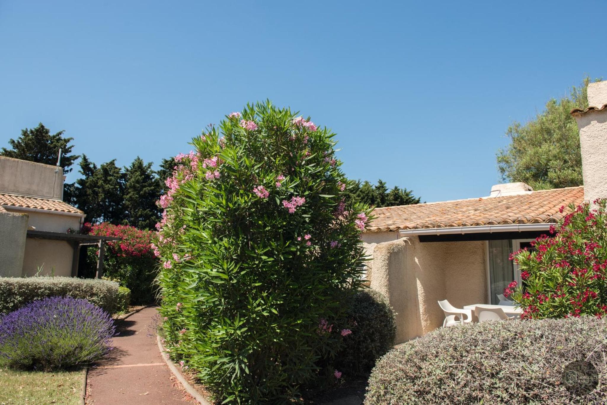 Sowell Cap d'Agde