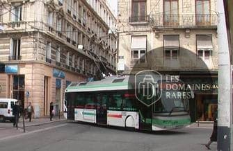 Trolley Bus