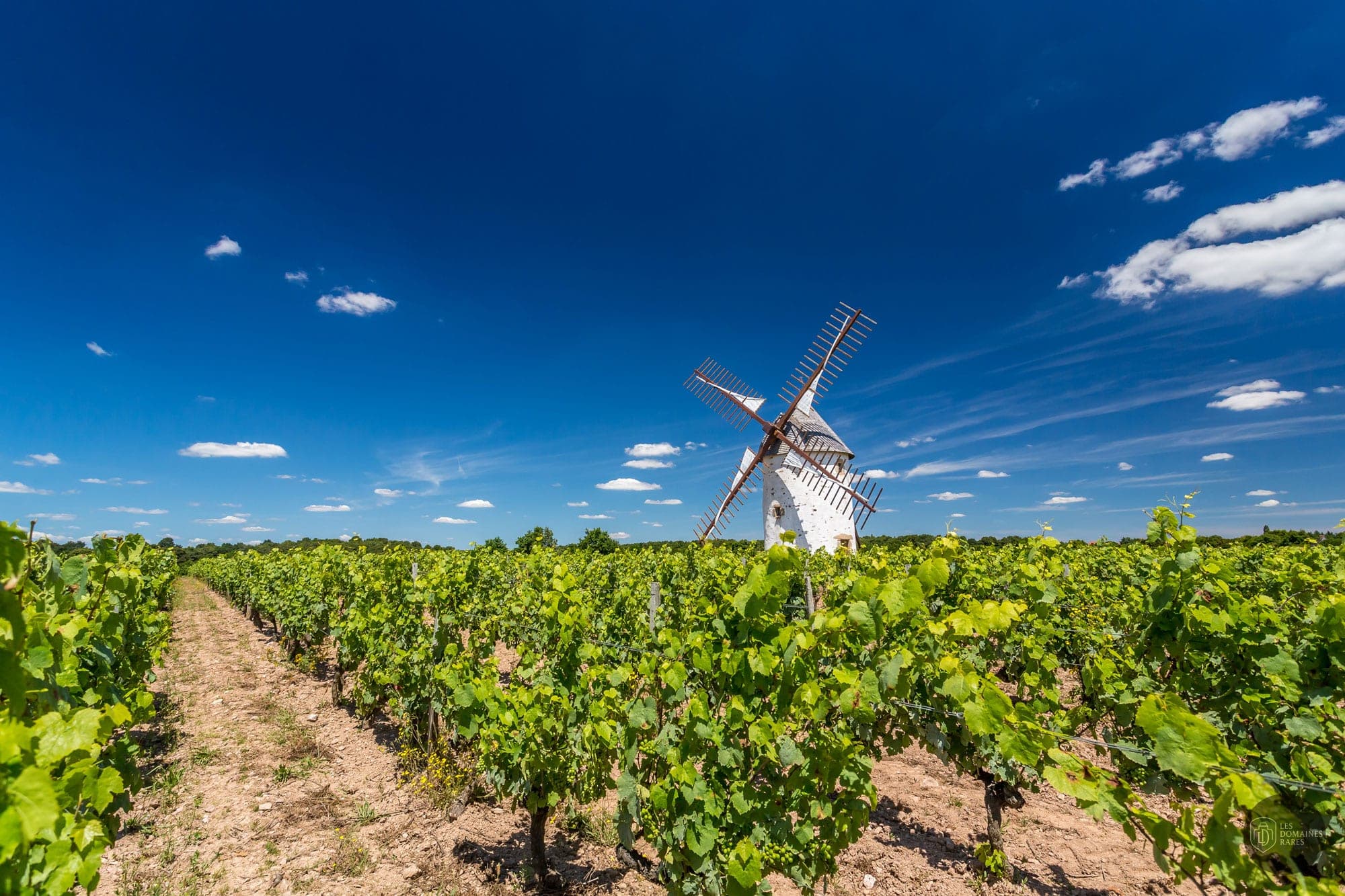 Vignobles Mourat